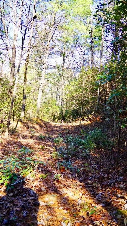 Ridge Retreat At Hearthstone Cabins And Camping - Pet Friendly Helen Exterior photo