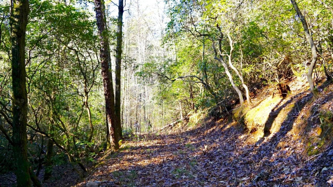 Ridge Retreat At Hearthstone Cabins And Camping - Pet Friendly Helen Exterior photo